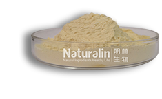 無患子提取物 無患子提取物
