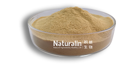 茶籽提取物 茶籽提取物